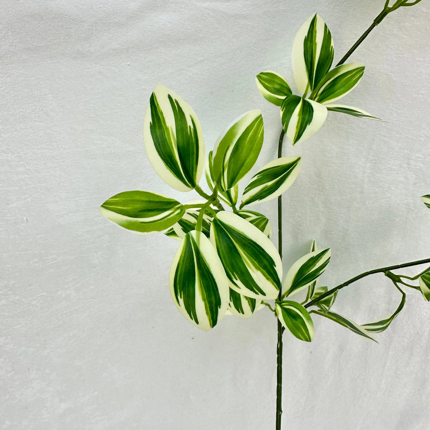 Green Silk Spider Plant 3 Branch RosesHQ.com