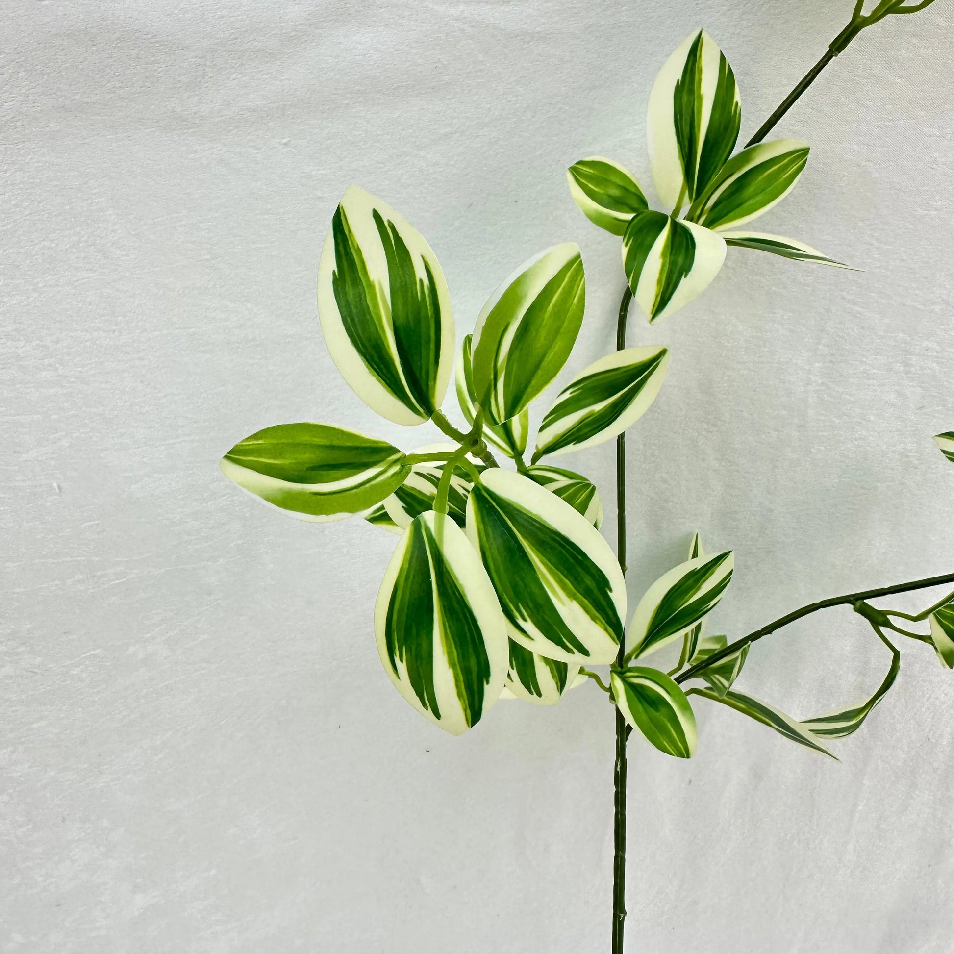 Green Silk Spider Plant 3 Branch RosesHQ.com