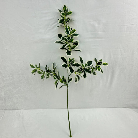 Green Silk Fortune Polyscias Branch RosesHQ.com