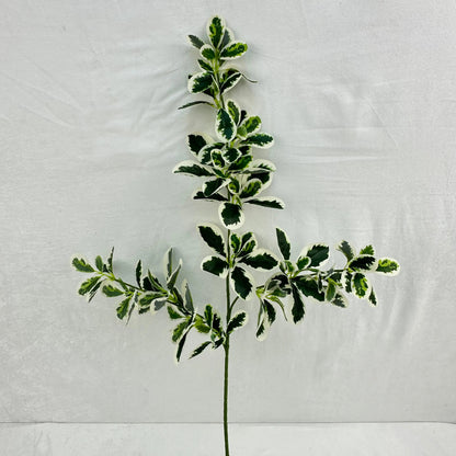 Green Silk Fortune Polyscias Branch RosesHQ.com