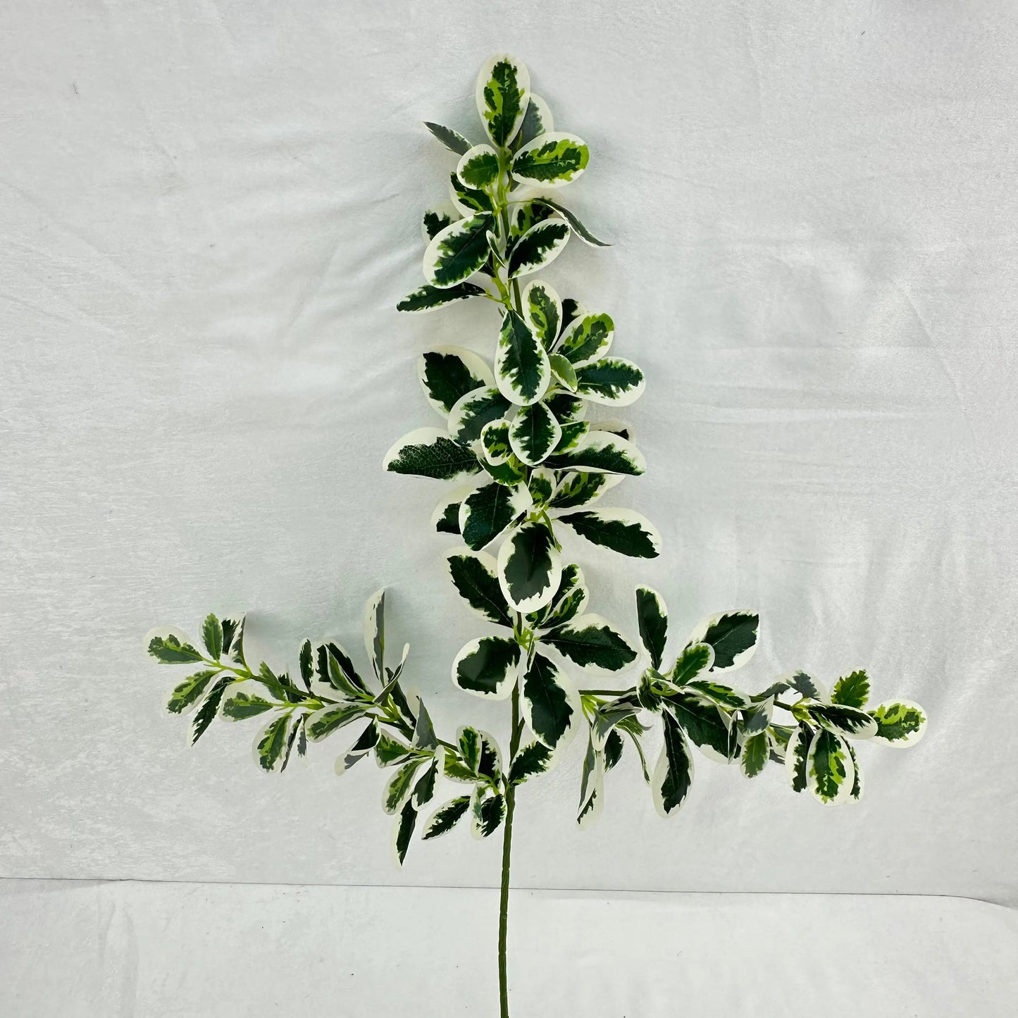 Green Silk Fortune Polyscias Branch RosesHQ.com