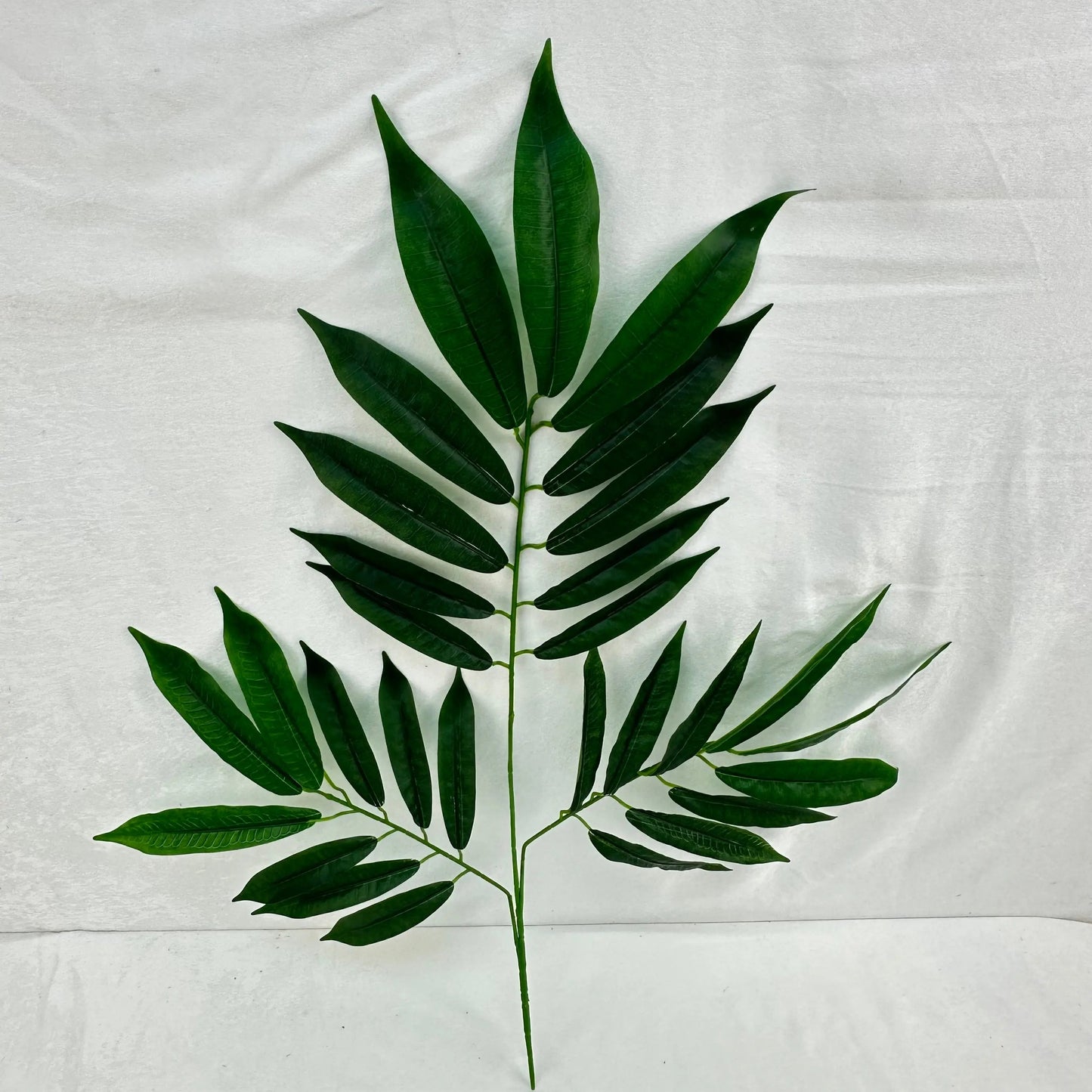 Green Silk Lemon Tree Leaf 12 Pack RosesHQ.com