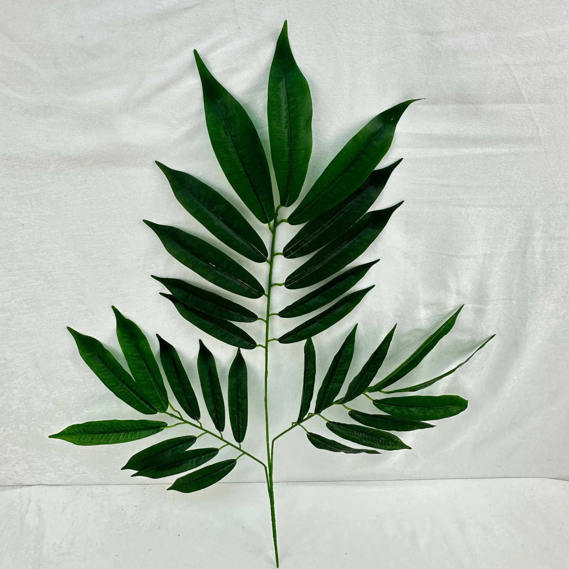 Green Silk Lemon Tree Leaf 12 Pack RosesHQ.com