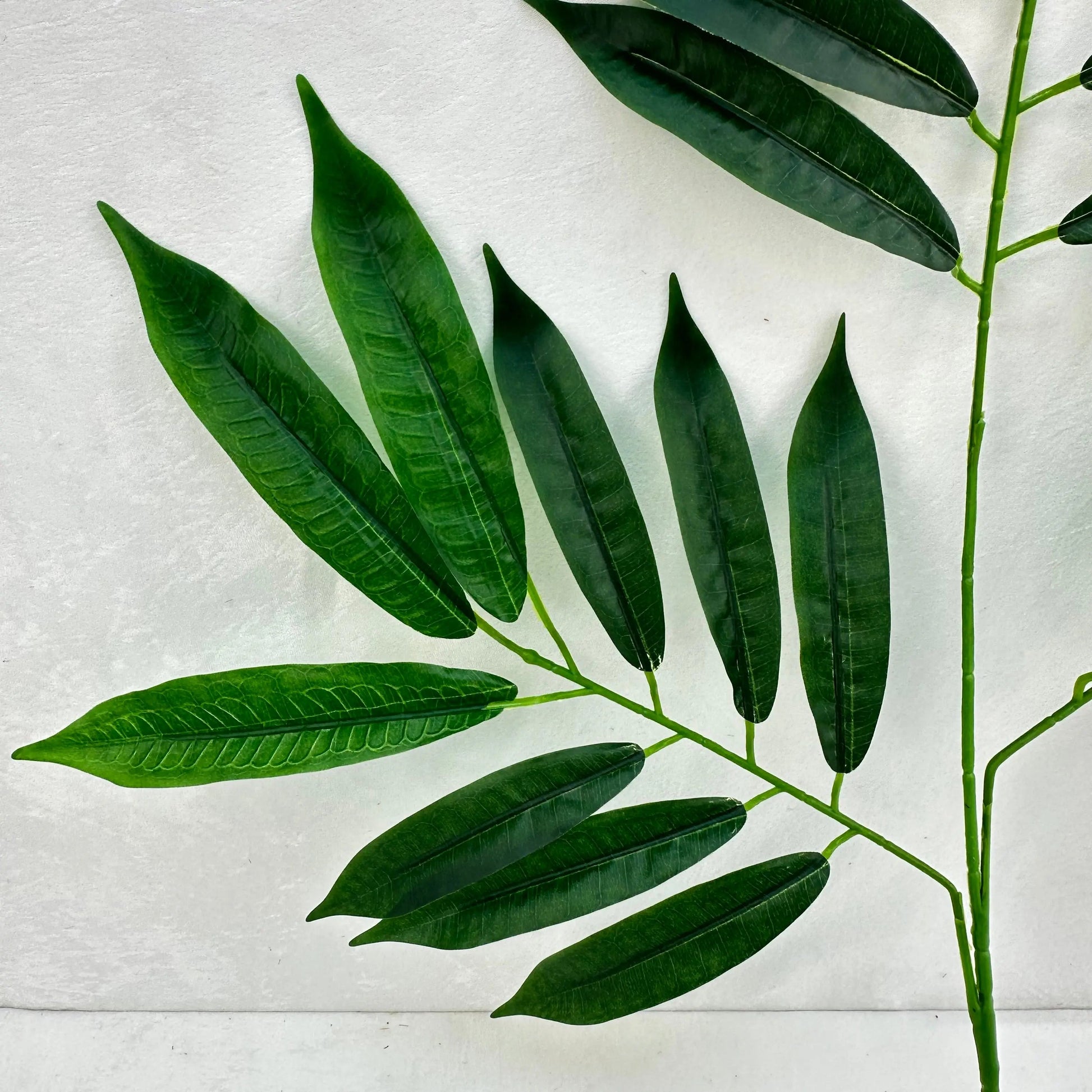 Green Silk Lemon Tree Leaf 12 Pack RosesHQ.com