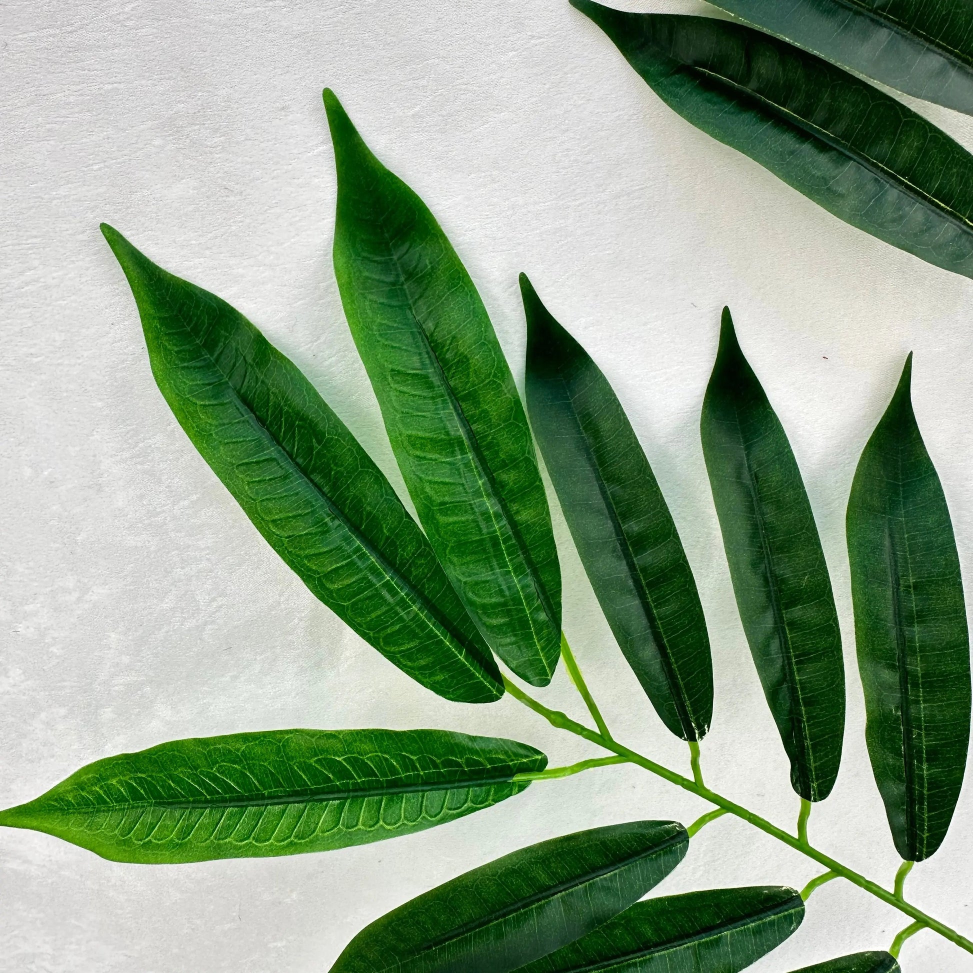 Green Silk Lemon Tree Leaf 12 Pack RosesHQ.com