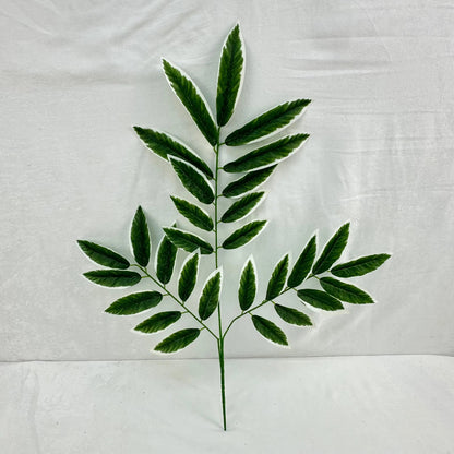 Green Silk Lemon Tree Leaf White Edge 12 Pack RosesHQ.com