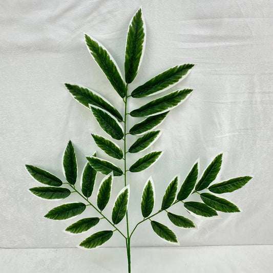 Green Silk Lemon Tree Leaf White Edge 12 Pack RosesHQ.com