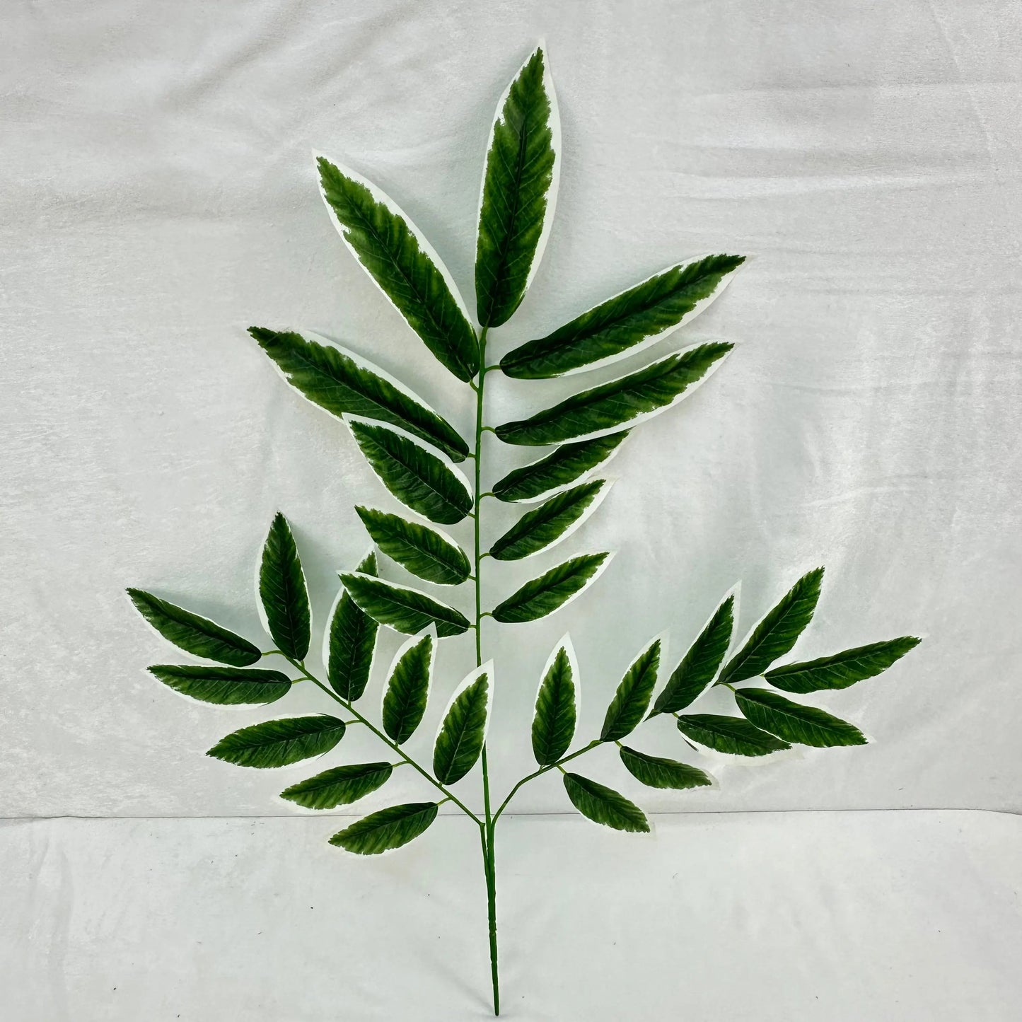Green Silk Lemon Tree Leaf White Edge 12 Pack RosesHQ.com