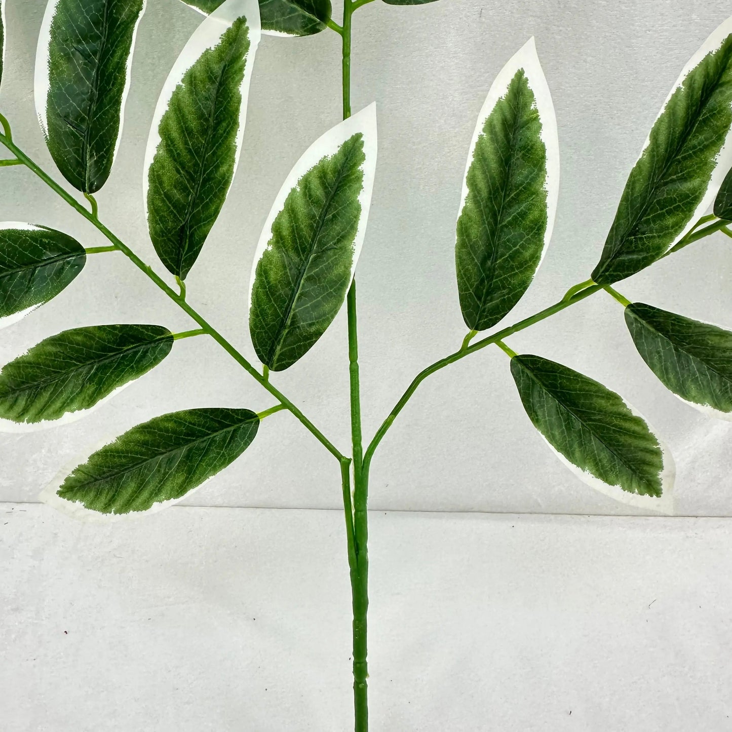 Green Silk Lemon Tree Leaf White Edge 12 Pack RosesHQ.com
