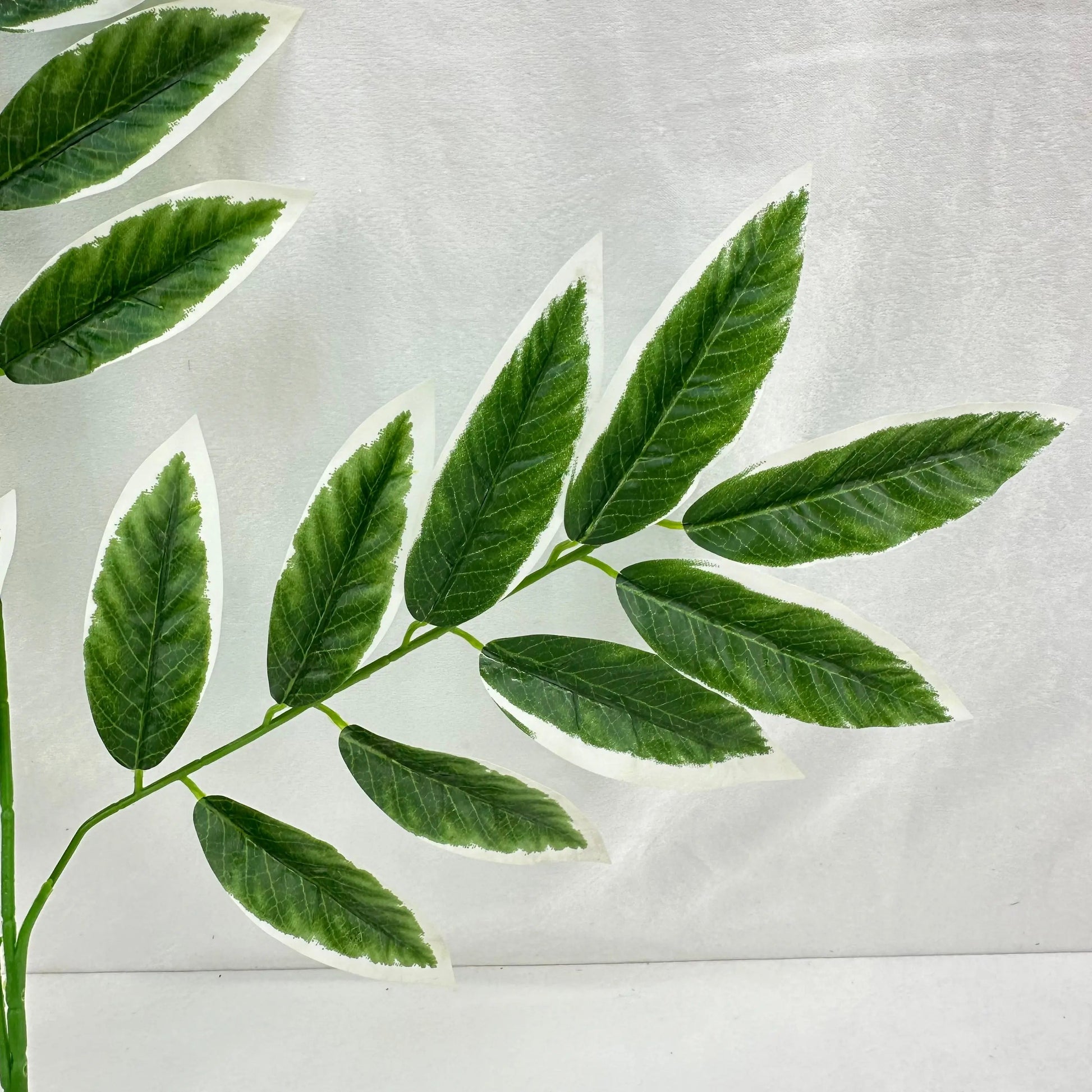 Green Silk Lemon Tree Leaf White Edge 12 Pack RosesHQ.com