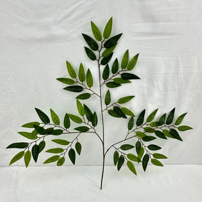 Green Silk Italian Ruscus Leaf 12 Pack RosesHQ.com