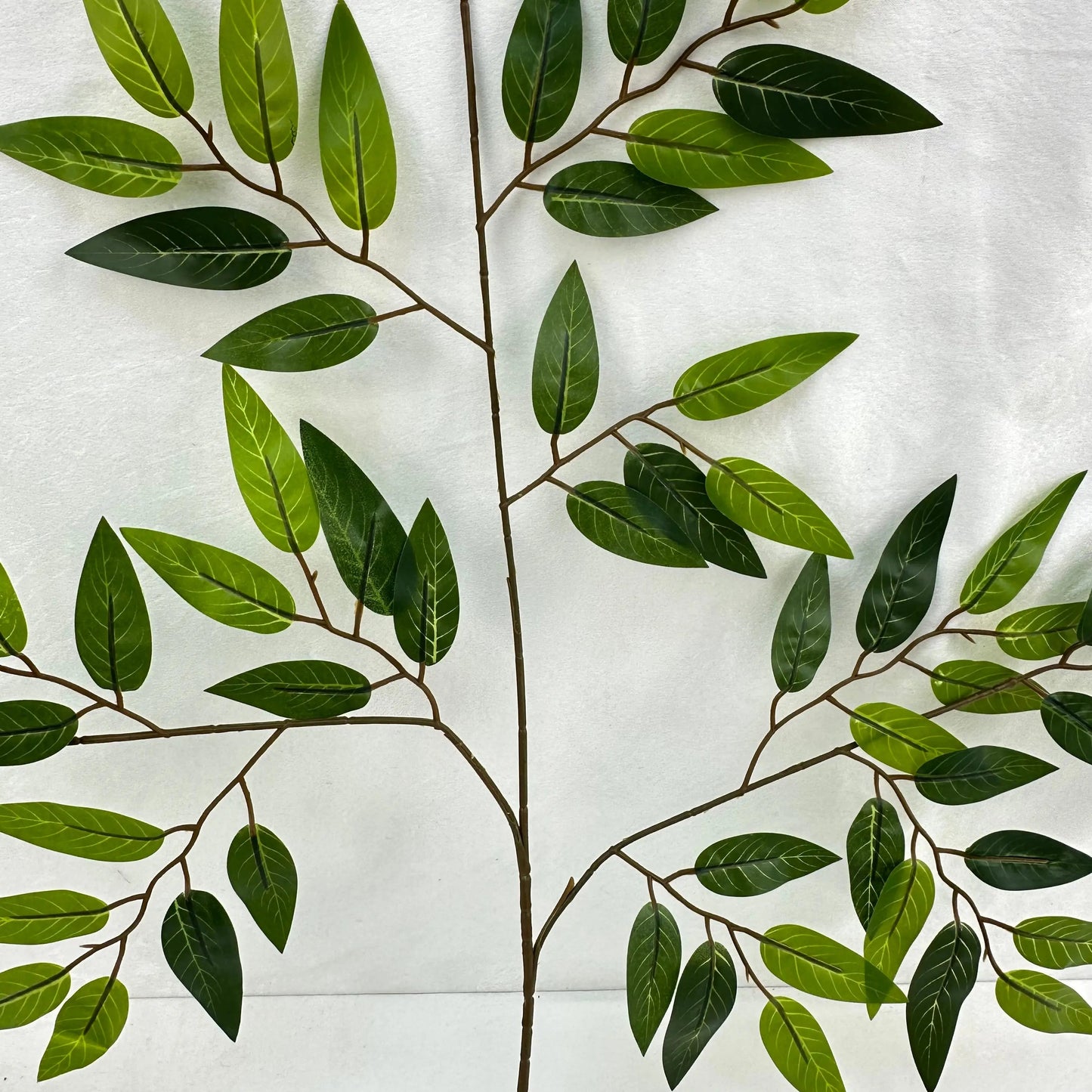 Green Silk Italian Ruscus Leaf 12 Pack RosesHQ.com