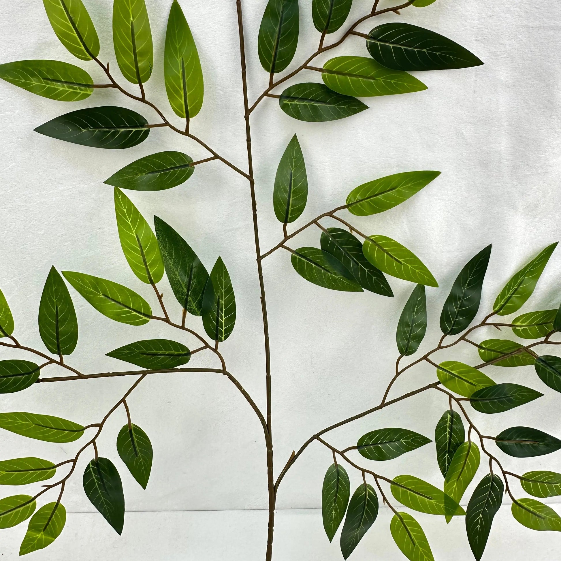 Green Silk Italian Ruscus Leaf 12 Pack RosesHQ.com