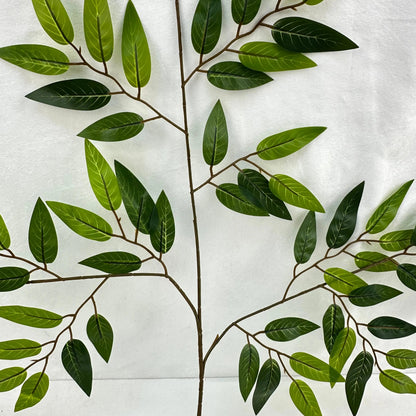 Green Silk Italian Ruscus Leaf 12 Pack RosesHQ.com
