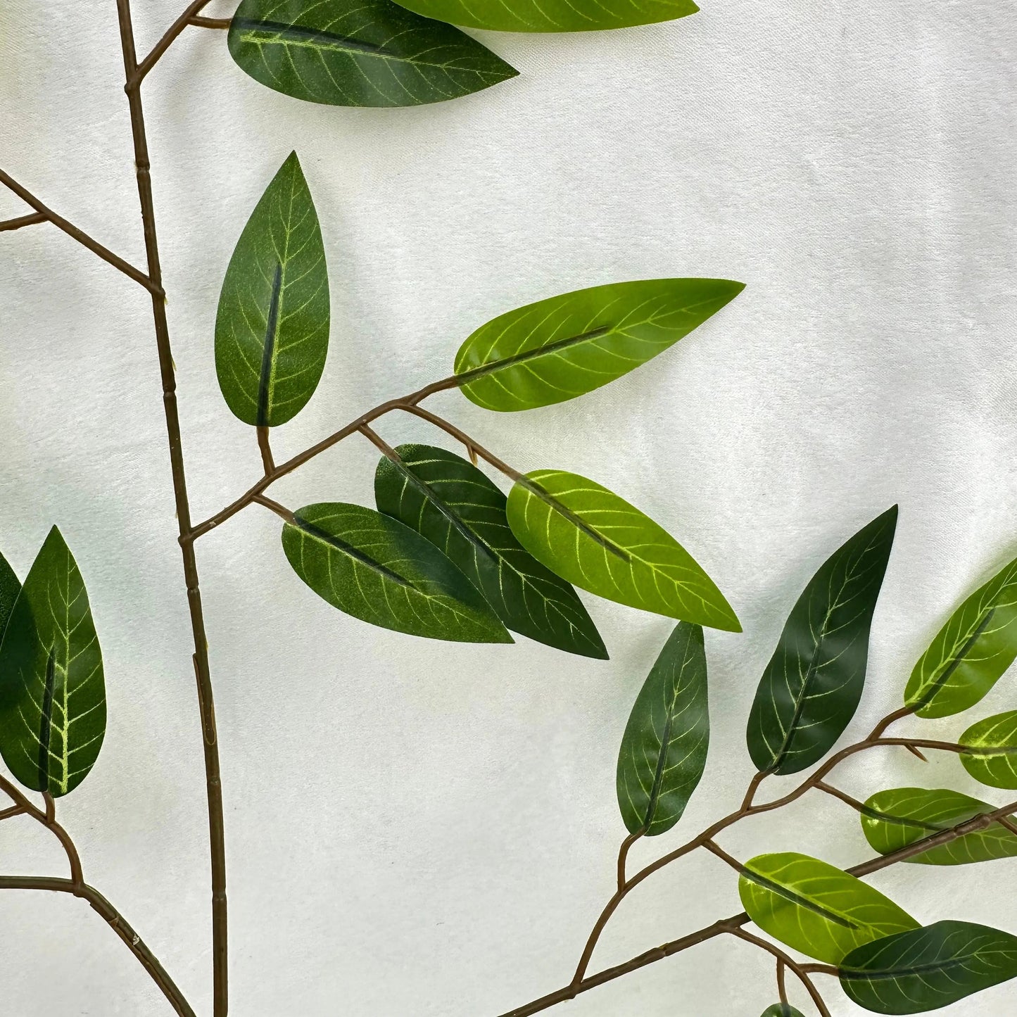 Green Silk Italian Ruscus Leaf 12 Pack RosesHQ.com