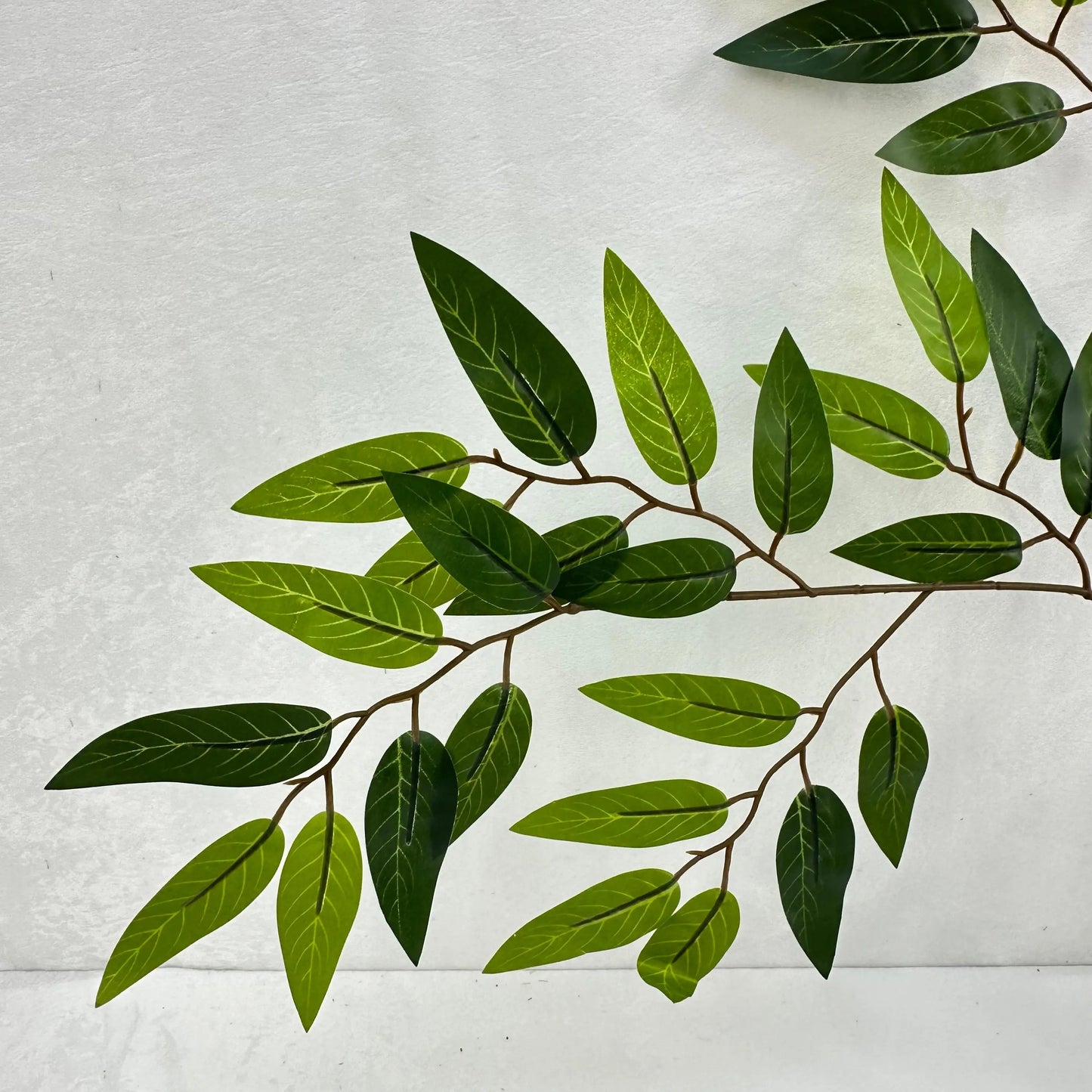 Green Silk Italian Ruscus Leaf 12 Pack RosesHQ.com