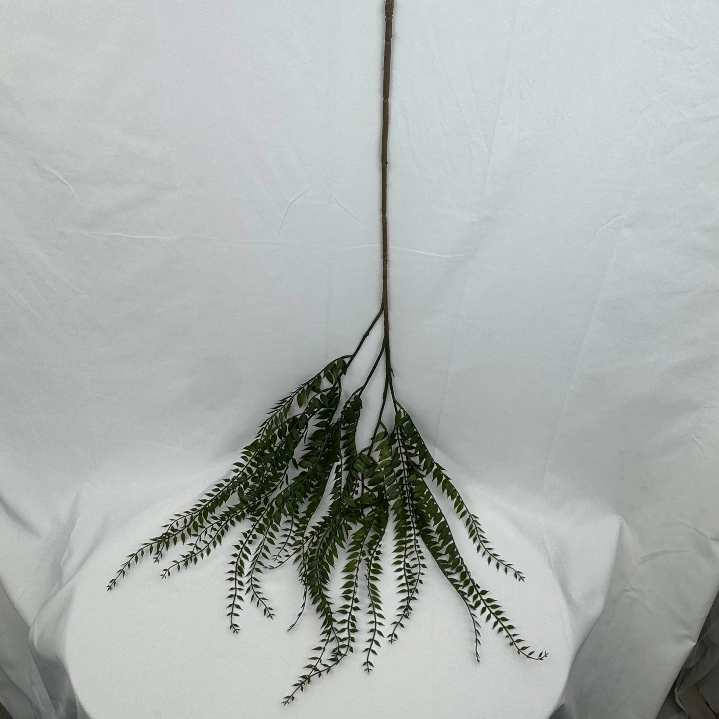 Green Hanging Fern Vine Branch RosesHQ.com