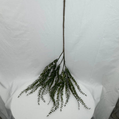 Green Hanging Fern Vine Branch RosesHQ.com