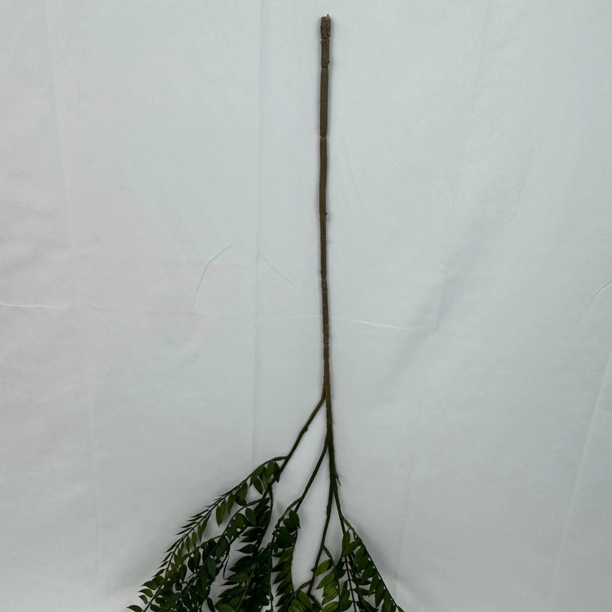 Green Hanging Fern Vine Branch RosesHQ.com