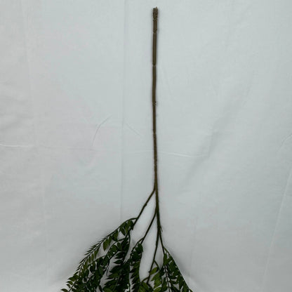 Green Hanging Fern Vine Branch RosesHQ.com