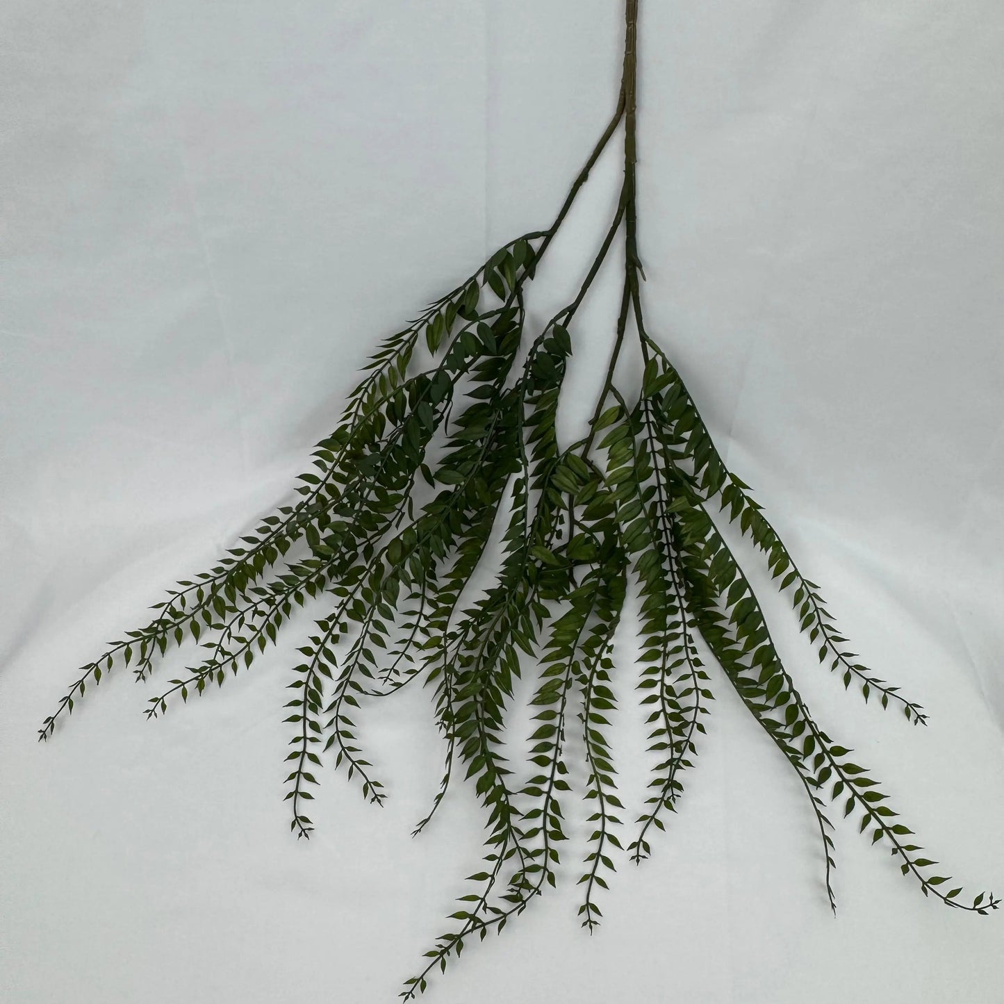 Green Hanging Fern Vine Branch RosesHQ.com