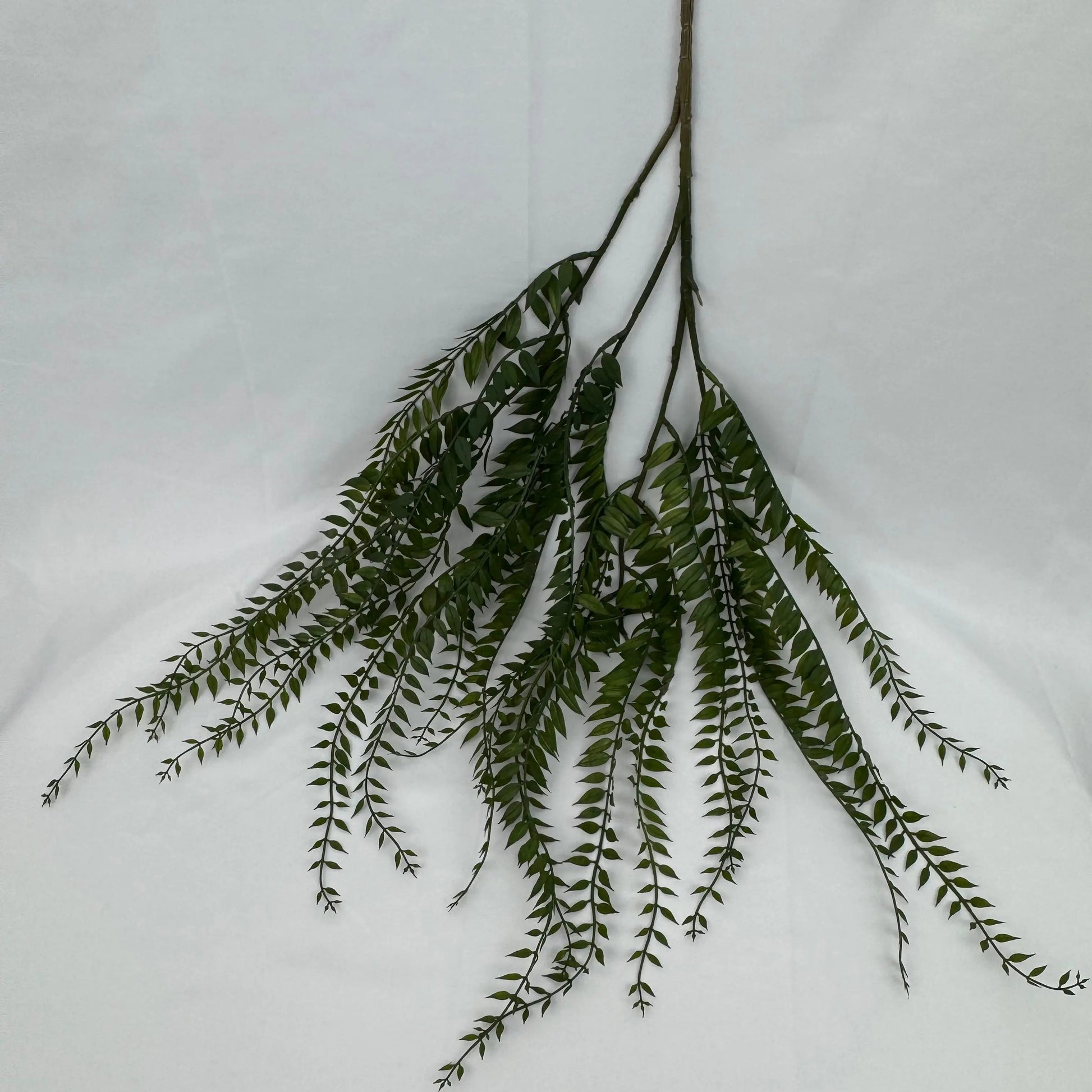 Green Hanging Fern Vine Branch RosesHQ.com