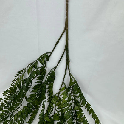 Green Hanging Fern Vine Branch RosesHQ.com