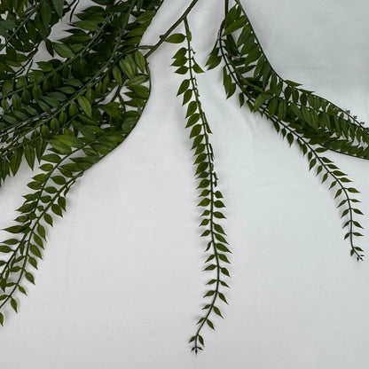 Green Hanging Fern Vine Branch RosesHQ.com