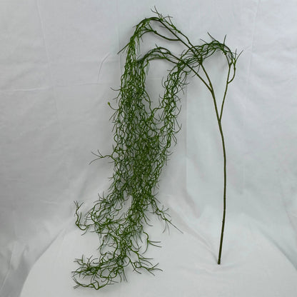 Green Seaweed RosesHQ.com