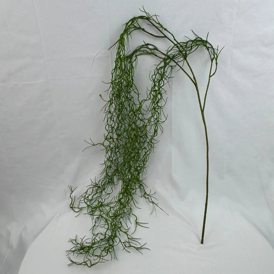 Green Seaweed RosesHQ.com