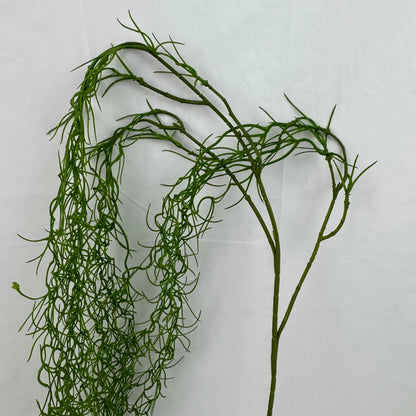 Green Seaweed RosesHQ.com