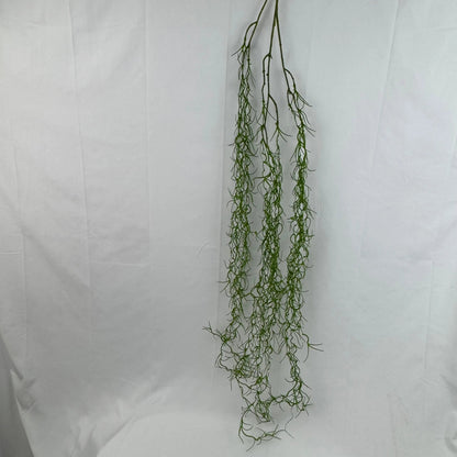 Green Seaweed RosesHQ.com