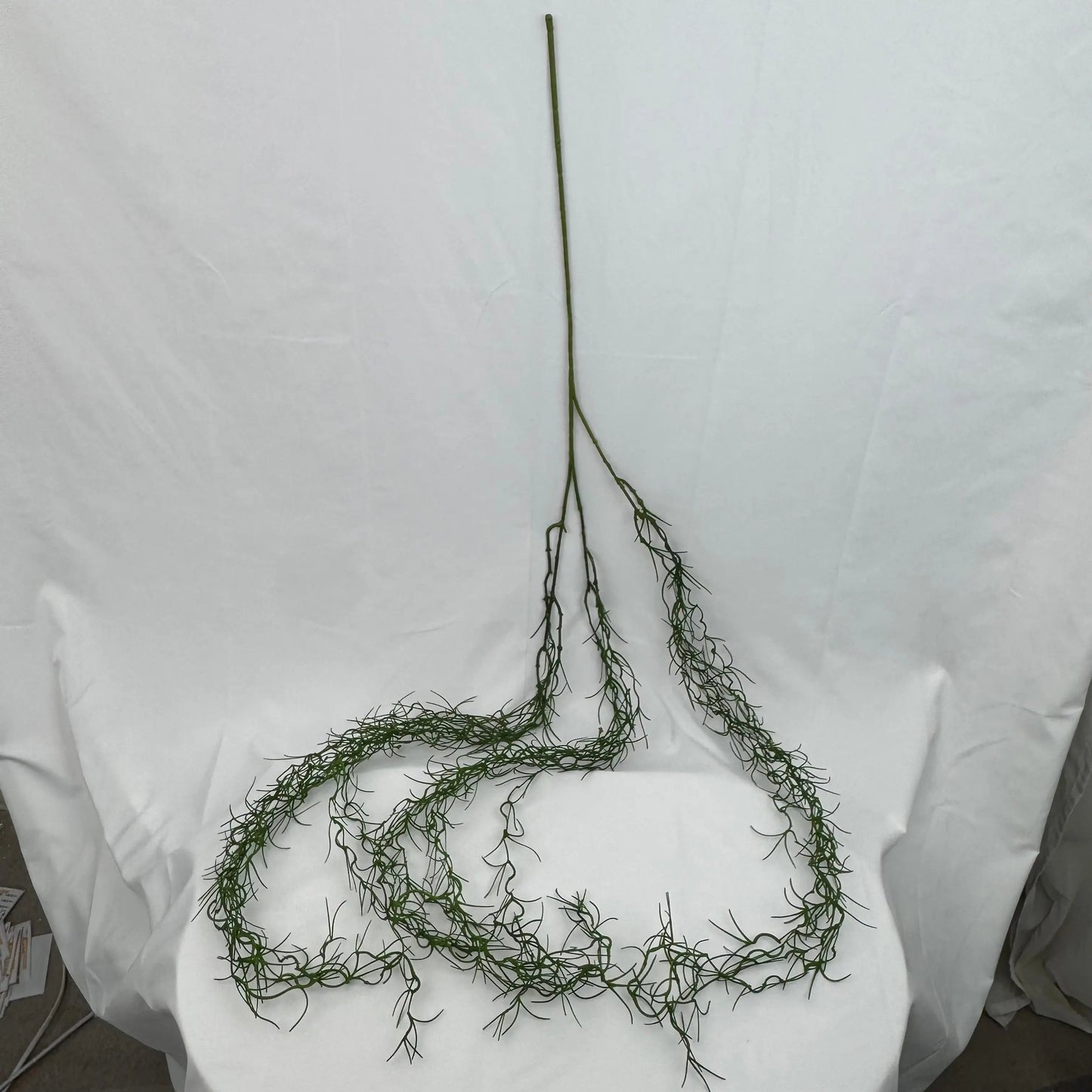 Green Hanging Seaweed Branch RosesHQ.com