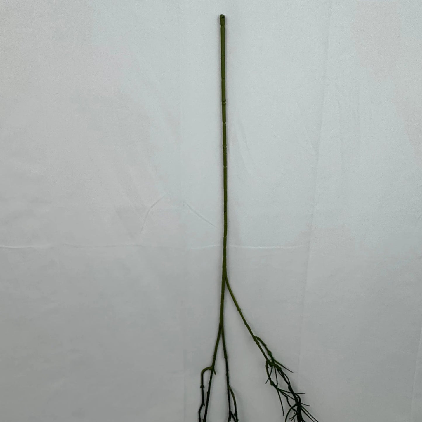 Green Hanging Seaweed Branch RosesHQ.com