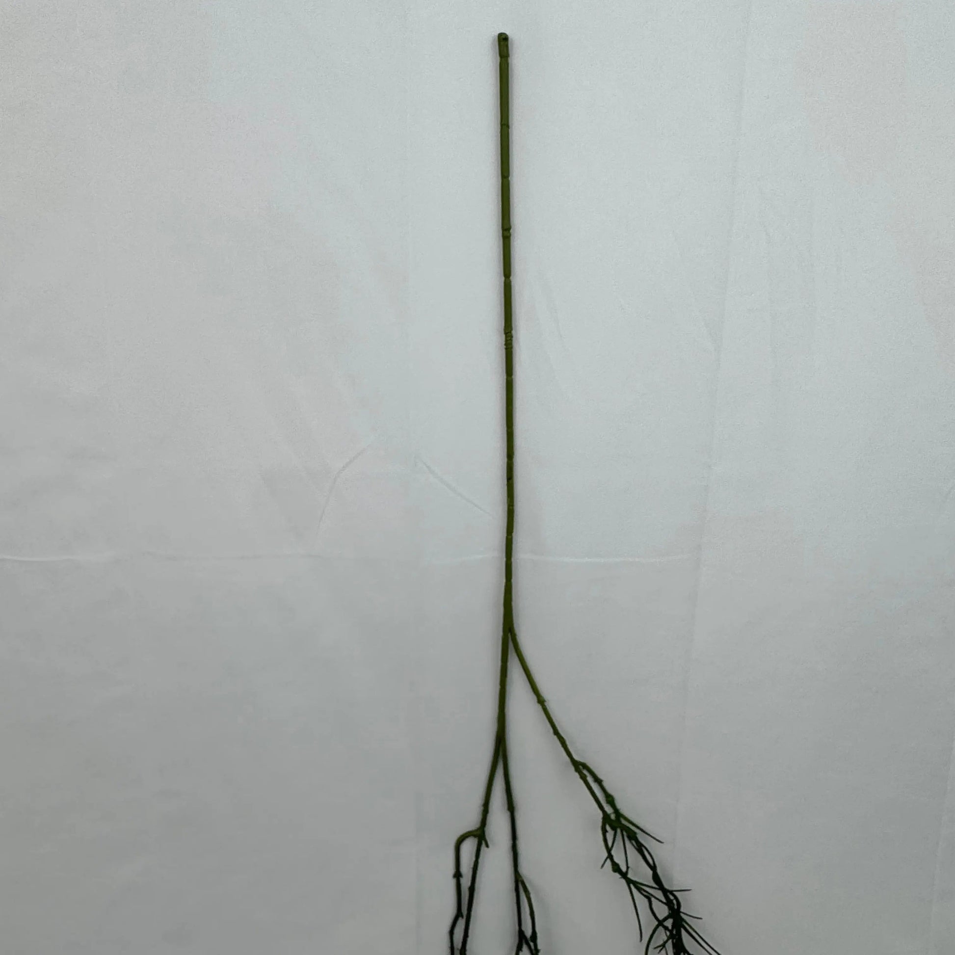 Green Hanging Seaweed Branch RosesHQ.com