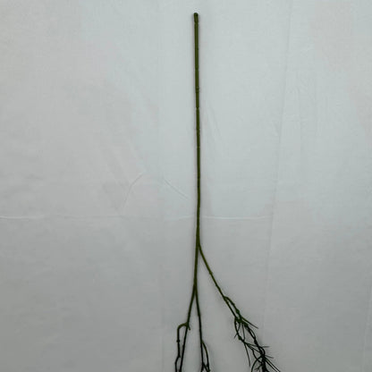 Green Hanging Seaweed Branch RosesHQ.com