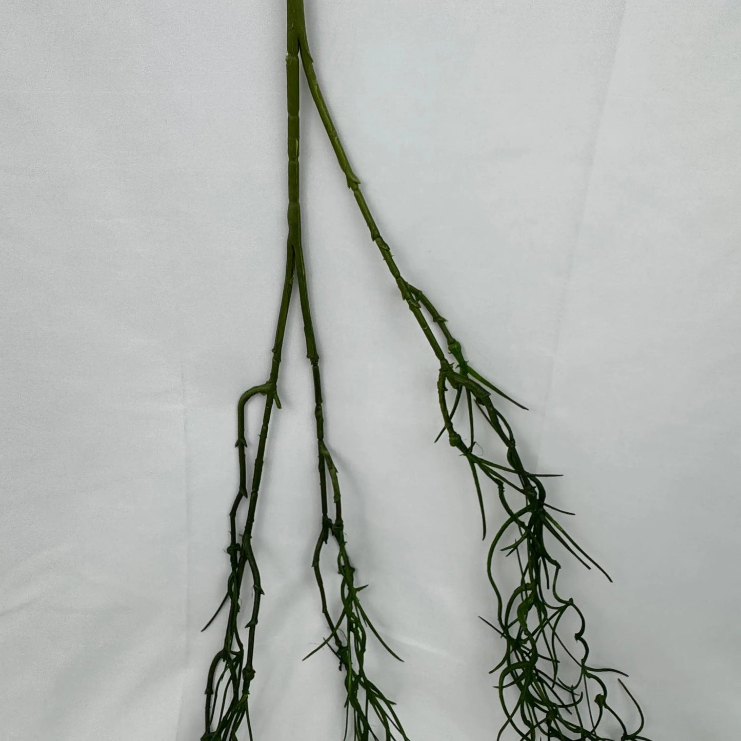Green Hanging Seaweed Branch RosesHQ.com