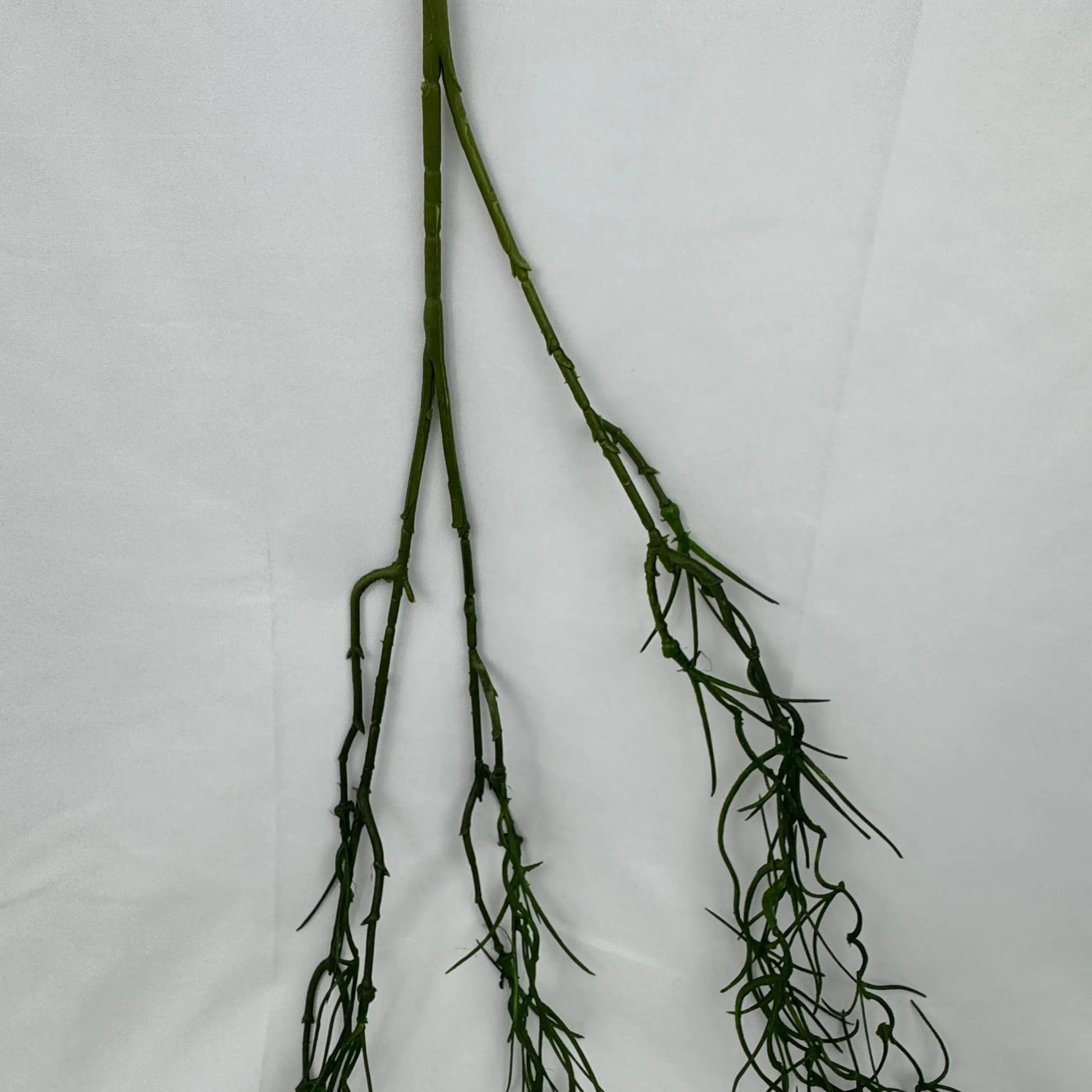 Green Hanging Seaweed Branch RosesHQ.com