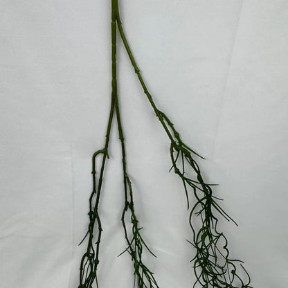 Green Hanging Seaweed Branch RosesHQ.com