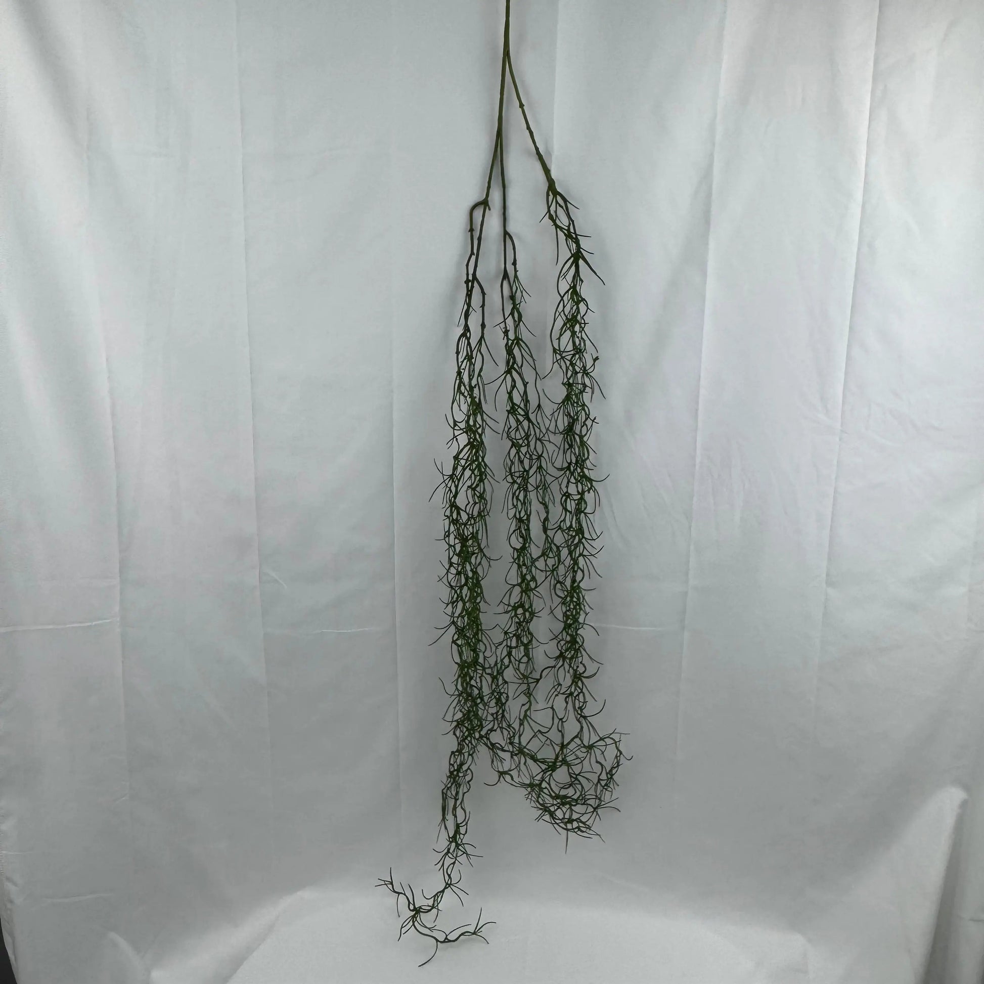 Green Hanging Seaweed Branch RosesHQ.com