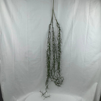 Green Hanging Seaweed Branch RosesHQ.com