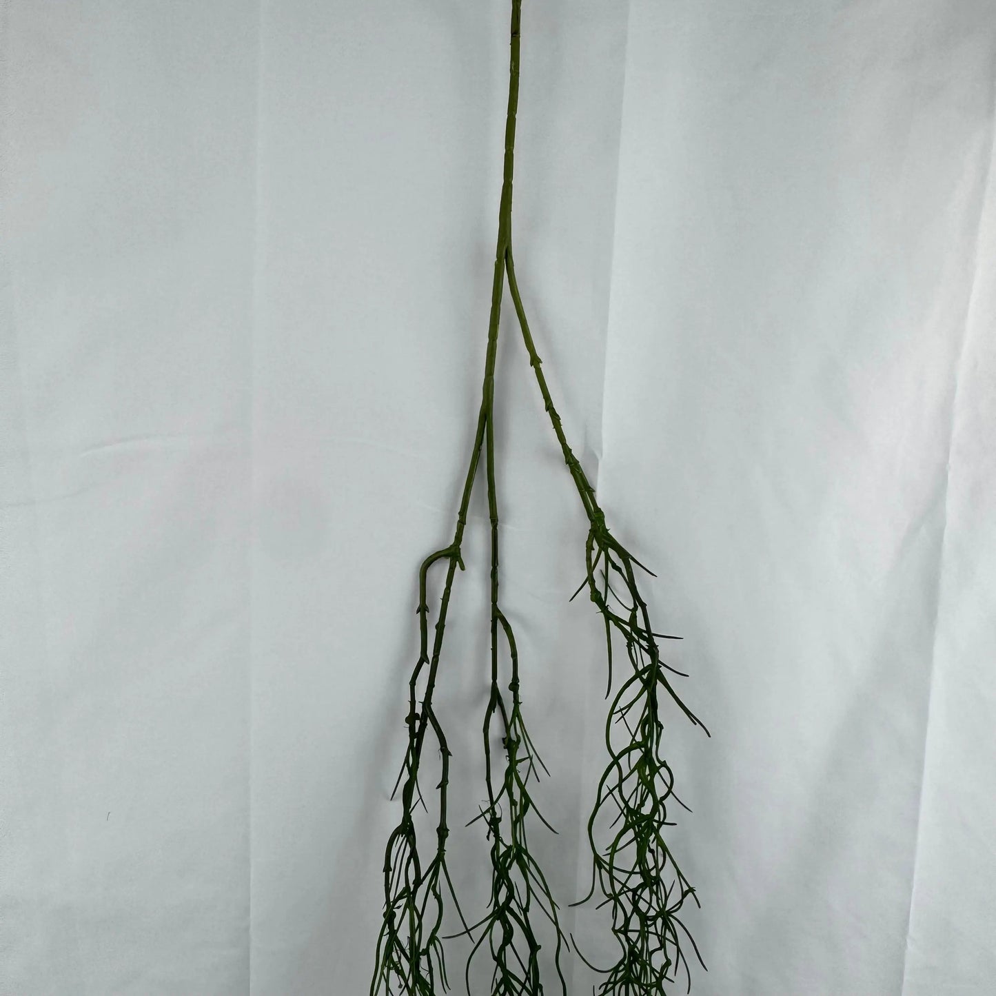 Green Hanging Seaweed Branch RosesHQ.com
