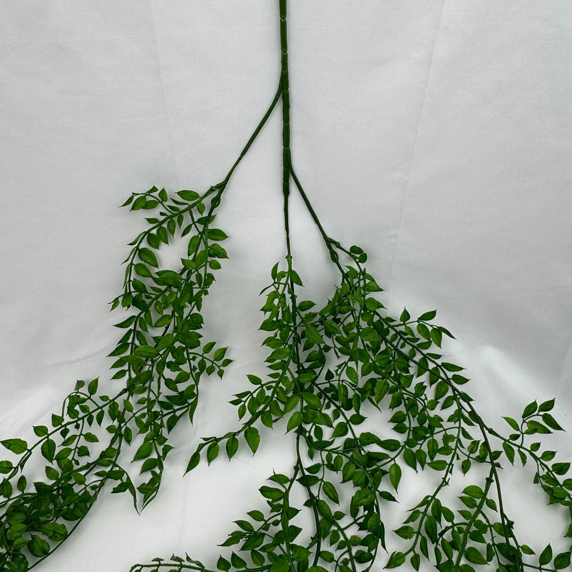 Green Hanging Sandalwood Leaf RosesHQ.com