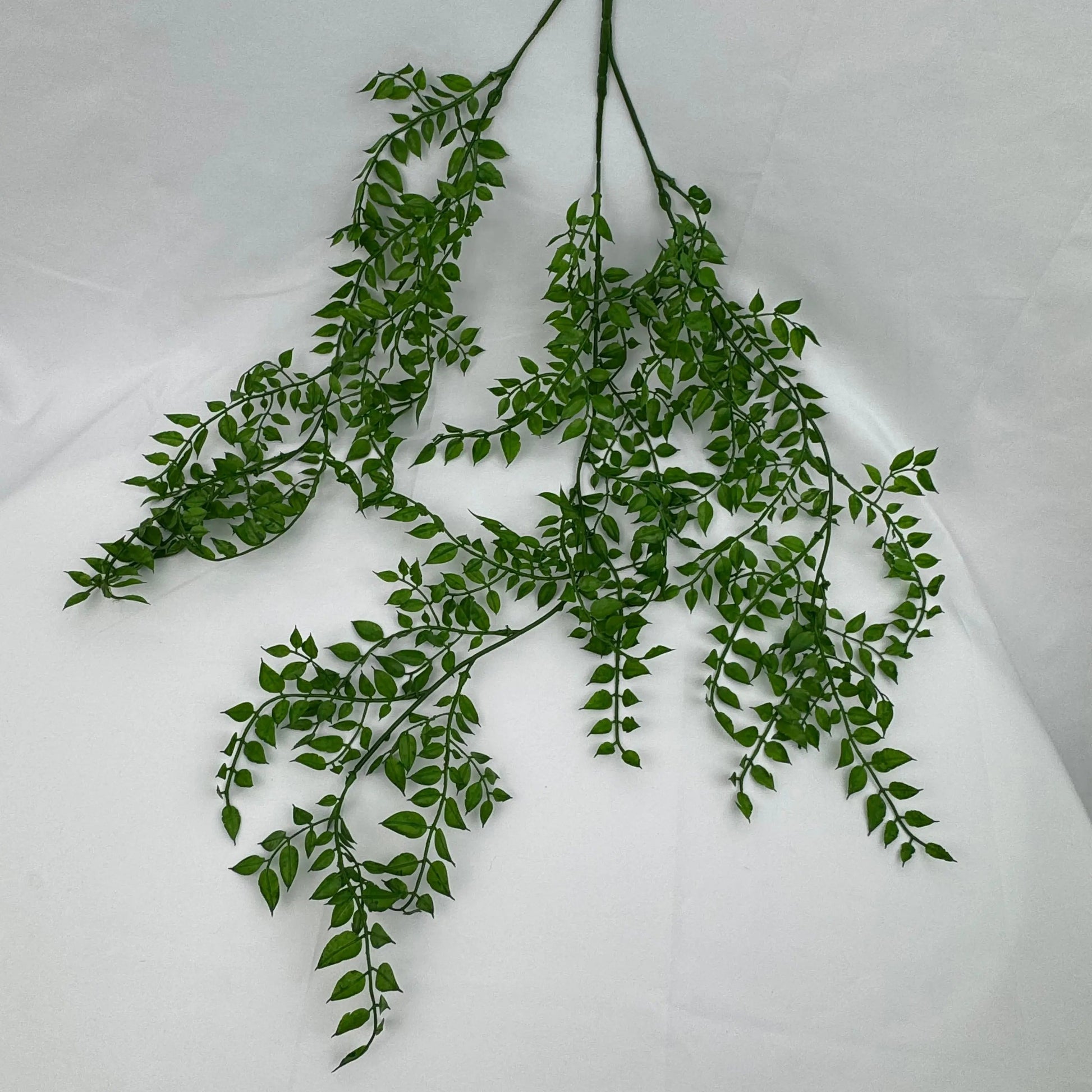 Green Hanging Sandalwood Leaf RosesHQ.com