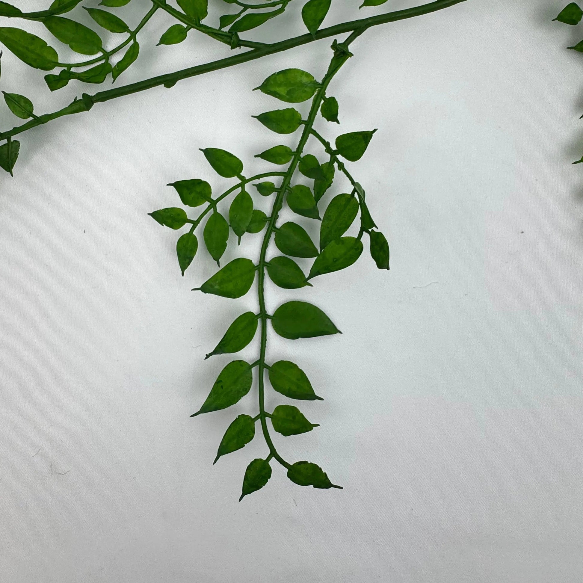 Green Hanging Sandalwood Leaf RosesHQ.com