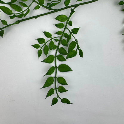 Green Hanging Sandalwood Leaf RosesHQ.com