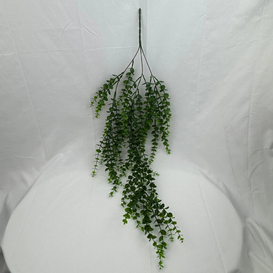 Green Hanging Eucalyptus RosesHQ.com