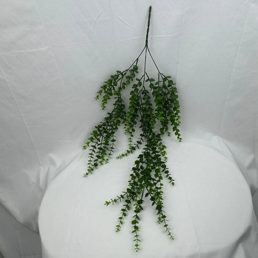 Green Hanging Eucalyptus RosesHQ.com