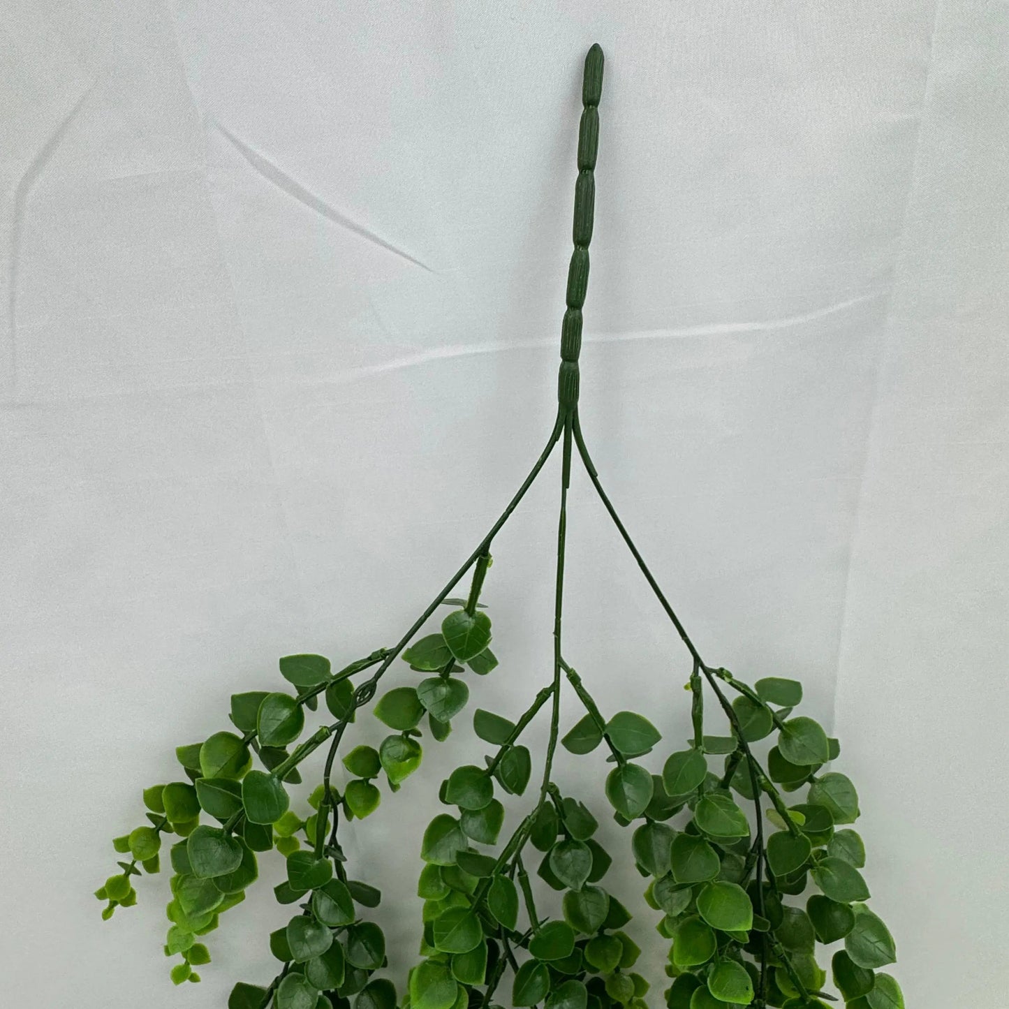 Green Hanging Eucalyptus RosesHQ.com
