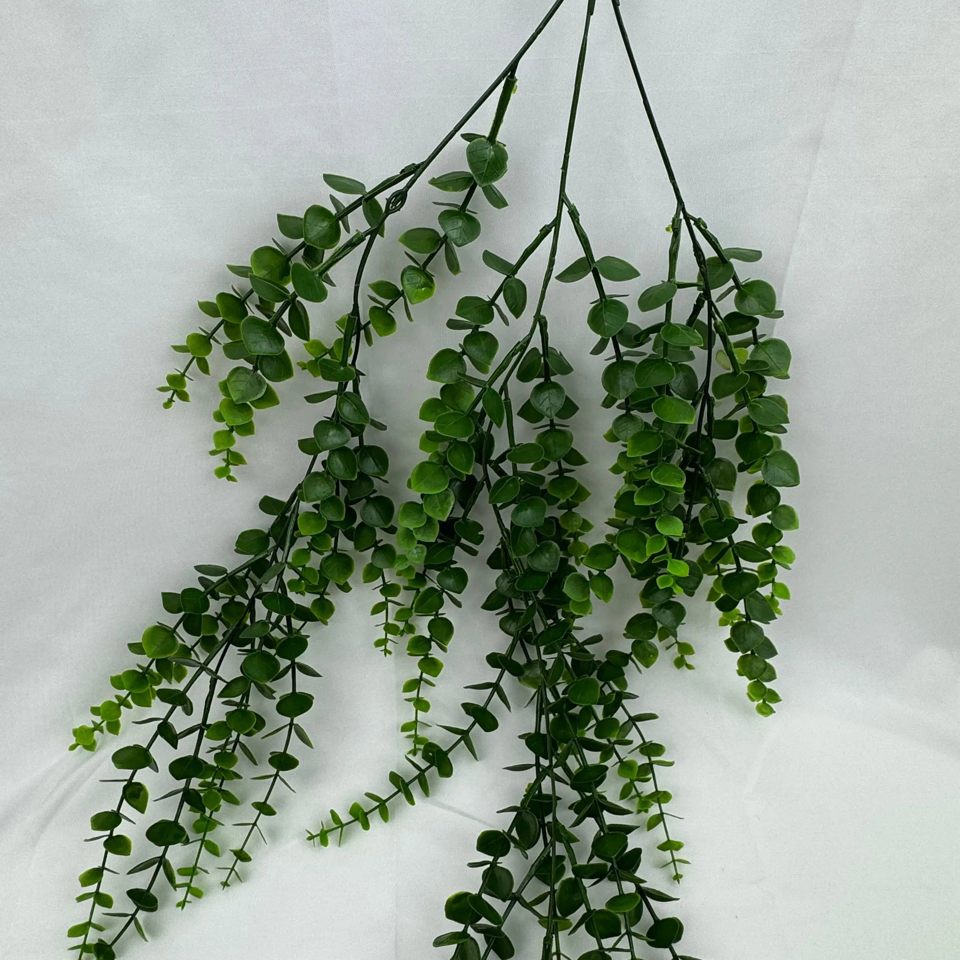 Green Hanging Eucalyptus RosesHQ.com
